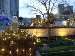 a0188926_07571519.jpg