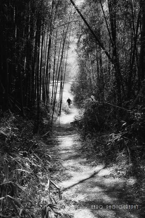 c0198227_2223927.jpg