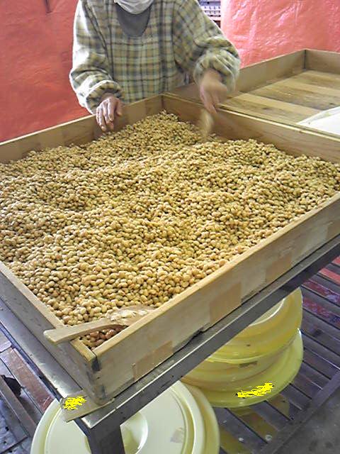 e0241833_9164550.jpg