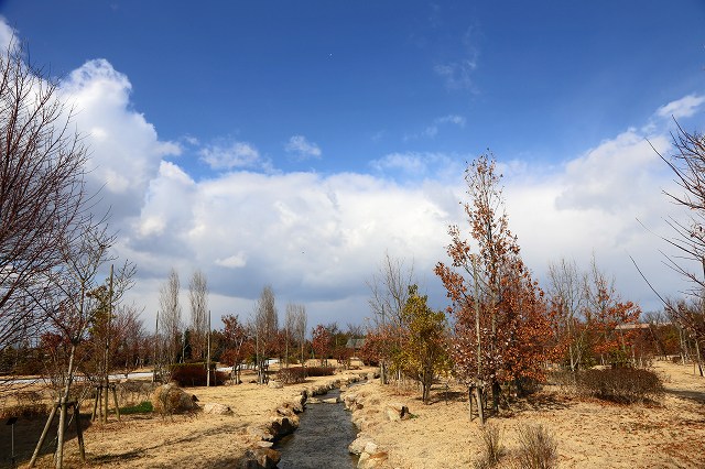 a0242438_19265591.jpg