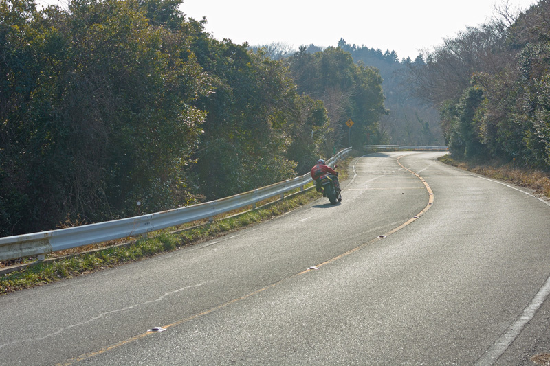 d0164443_209488.jpg