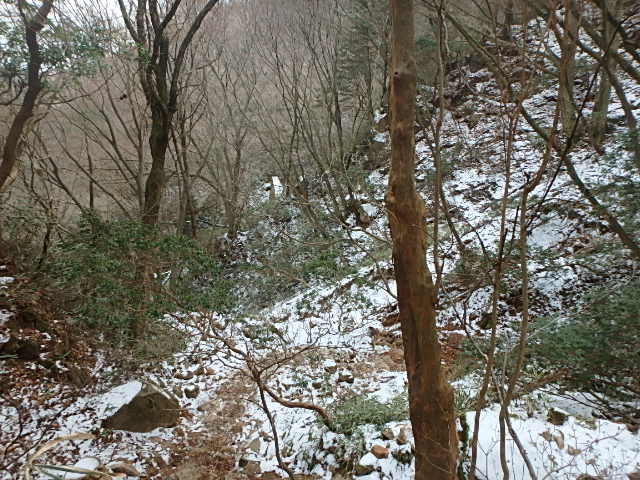 f0334143_20101962.jpg