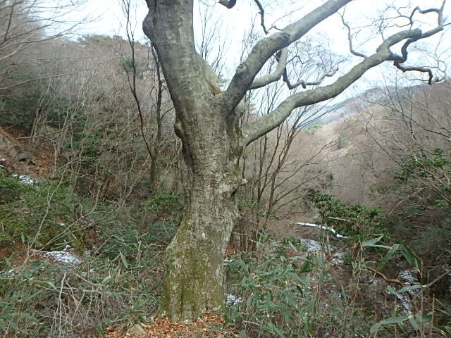 f0334143_20102534.jpg