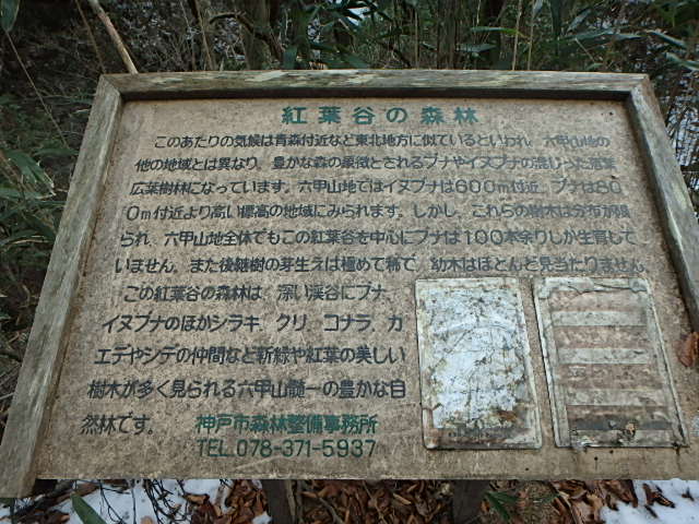 f0334143_20103123.jpg