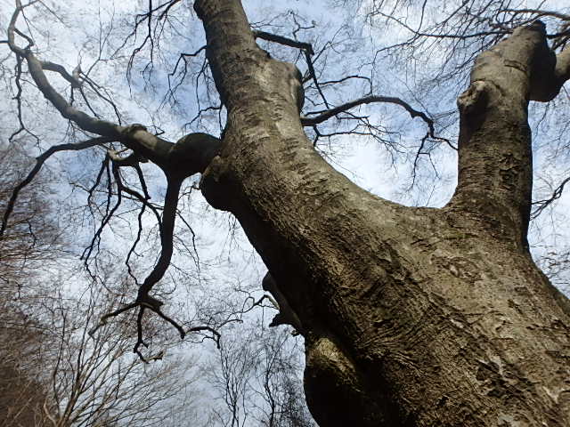 f0334143_20104483.jpg