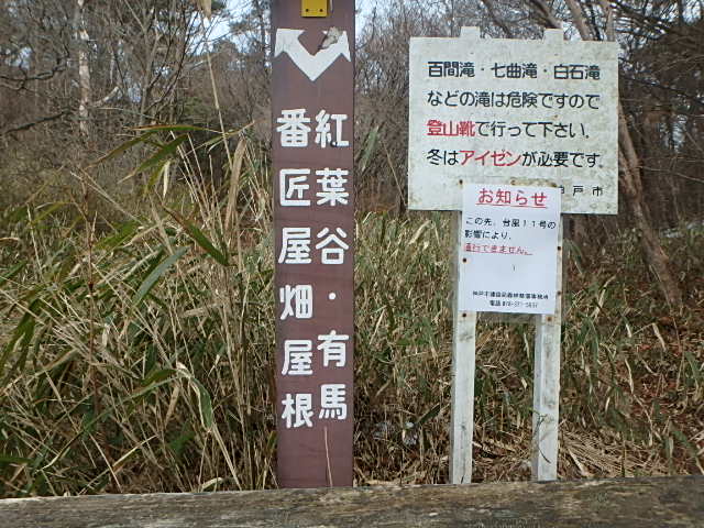 f0334143_2092519.jpg
