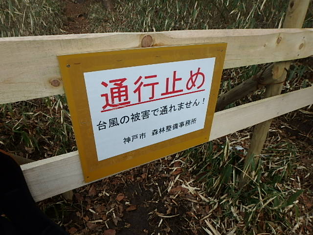 f0334143_2093970.jpg