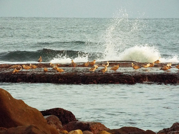 f0214649_547954.jpg