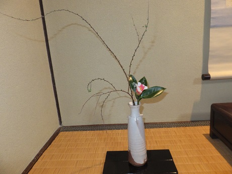 f0113862_20291659.jpg