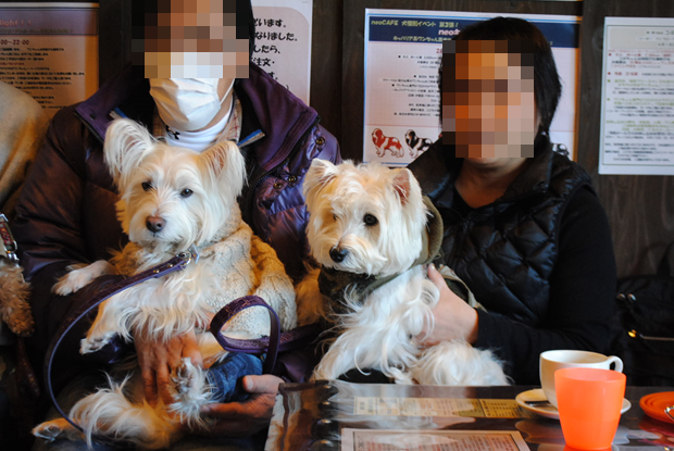 b0242873_08300691.png