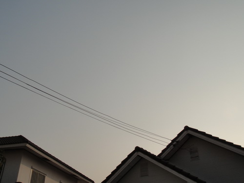 a0002177_113528100.jpg