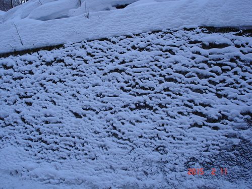 d0165378_8422484.jpg
