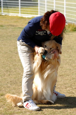 f0037378_10502273.jpg