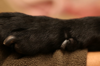 f0037378_10514977.jpg