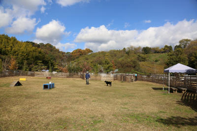 f0037378_18195320.jpg