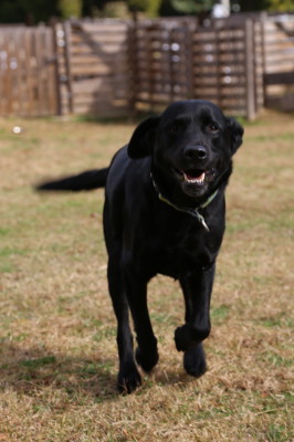 f0037378_18201244.jpg