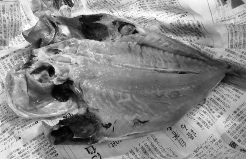 c0204385_21201103.jpg