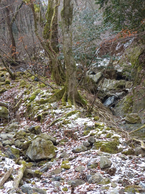 f0357487_23274836.jpg