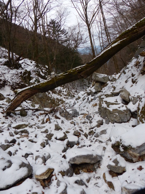 f0357487_23324857.jpg