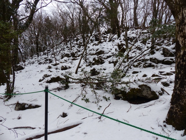 f0357487_23421398.jpg