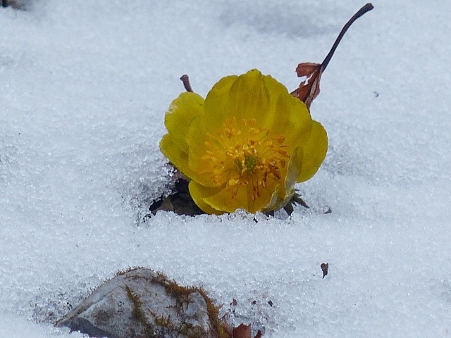 f0357487_23424277.jpg