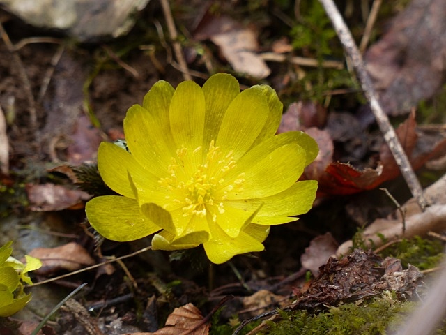 f0357487_23434378.jpg