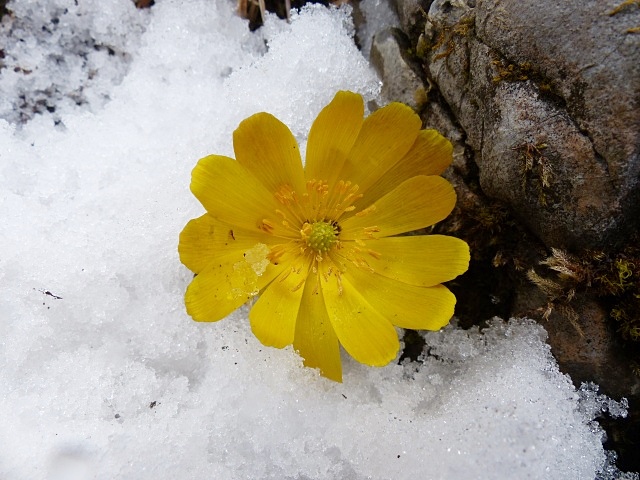f0357487_2344735.jpg