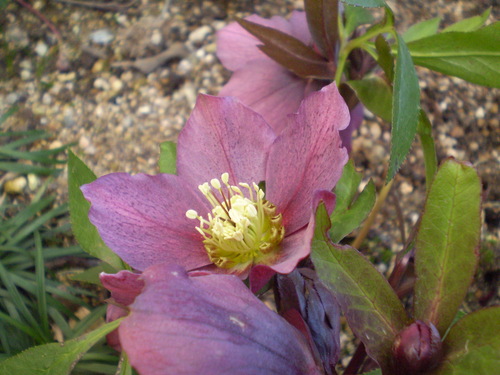 a0135990_2233324.jpg