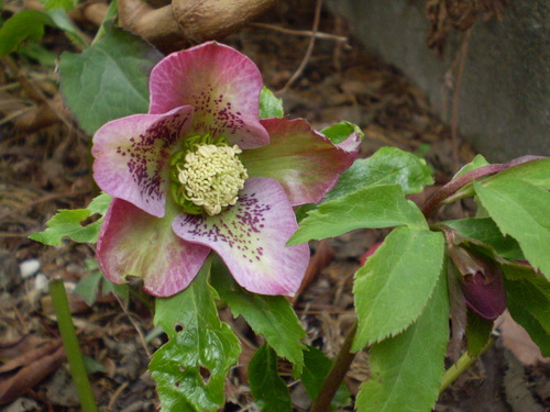 a0135990_2291630.jpg
