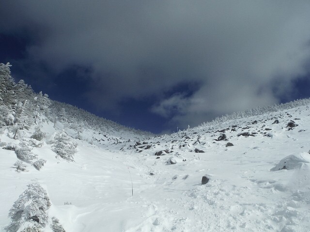 b0326303_22305346.jpg