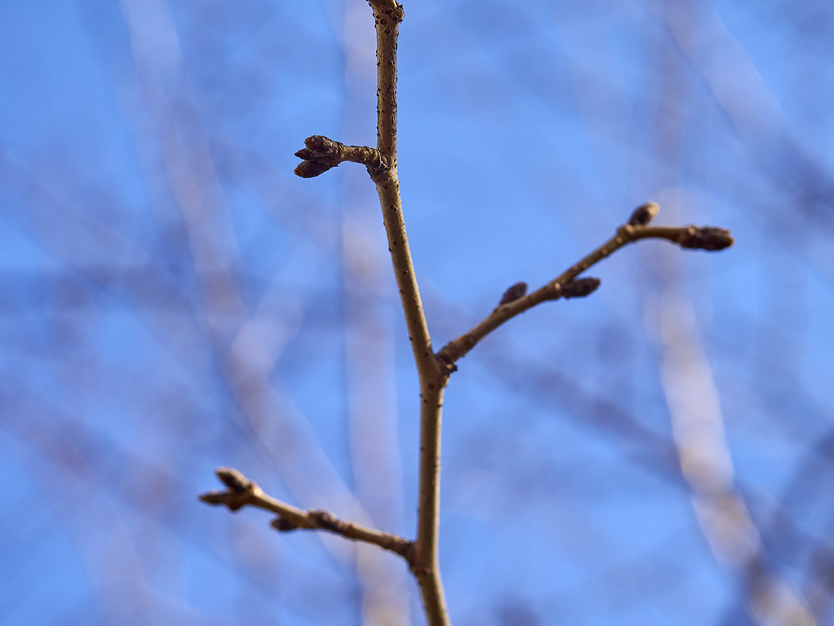 b0069507_315744.jpg
