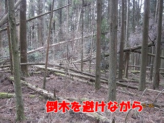 f0193521_7405035.jpg