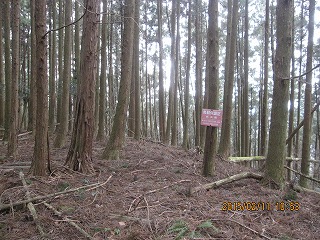 f0193521_74451.jpg