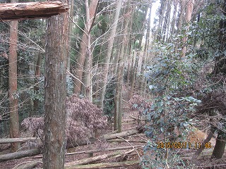 f0193521_8111939.jpg