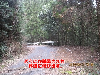 f0193521_843994.jpg