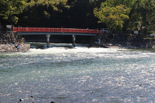b0162728_1775912.jpg
