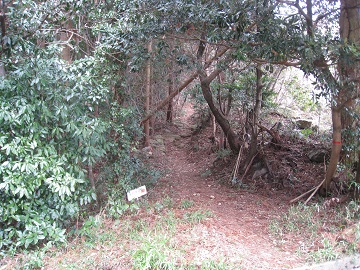 c0077338_2323222.jpg