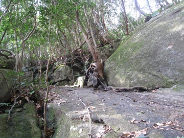 c0077338_23232533.jpg