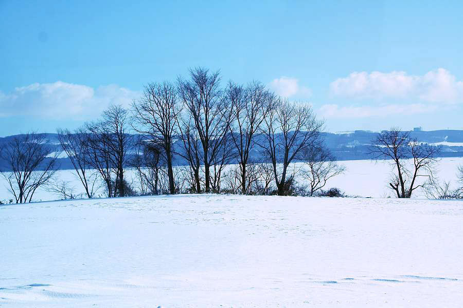 e0077041_212324.jpg