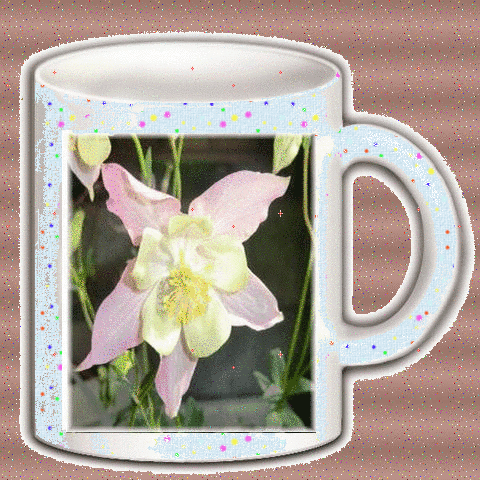 b0133752_2105467.gif