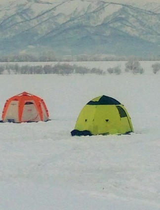 a0337860_14055548.jpg