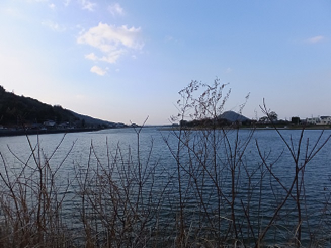 f0113862_17591595.jpg