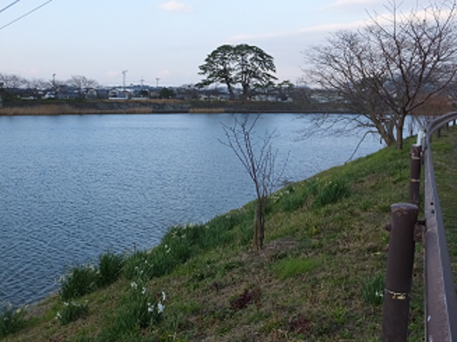 f0113862_1874330.jpg