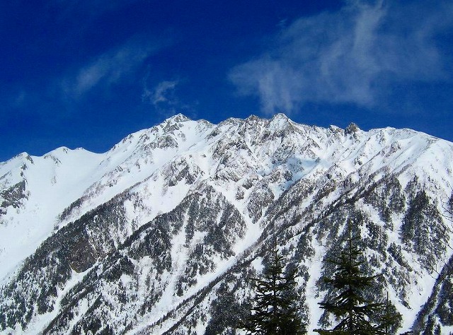 c0219866_1728337.jpg