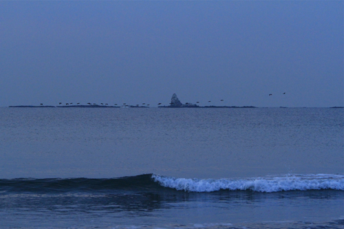 a0157069_83254.jpg