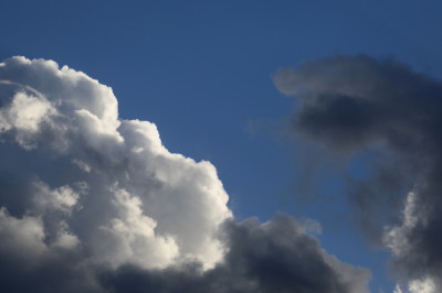 f0037378_1041516.jpg