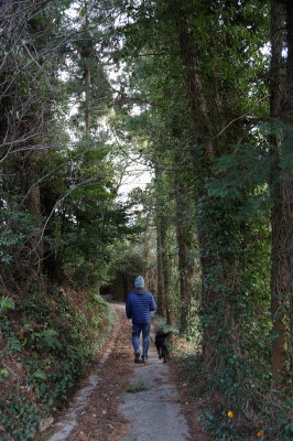 f0037378_10421146.jpg
