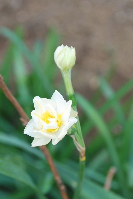 e0025300_20142477.jpg