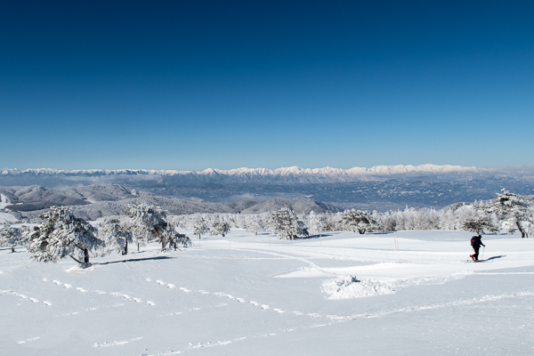 b0244811_22244454.jpg