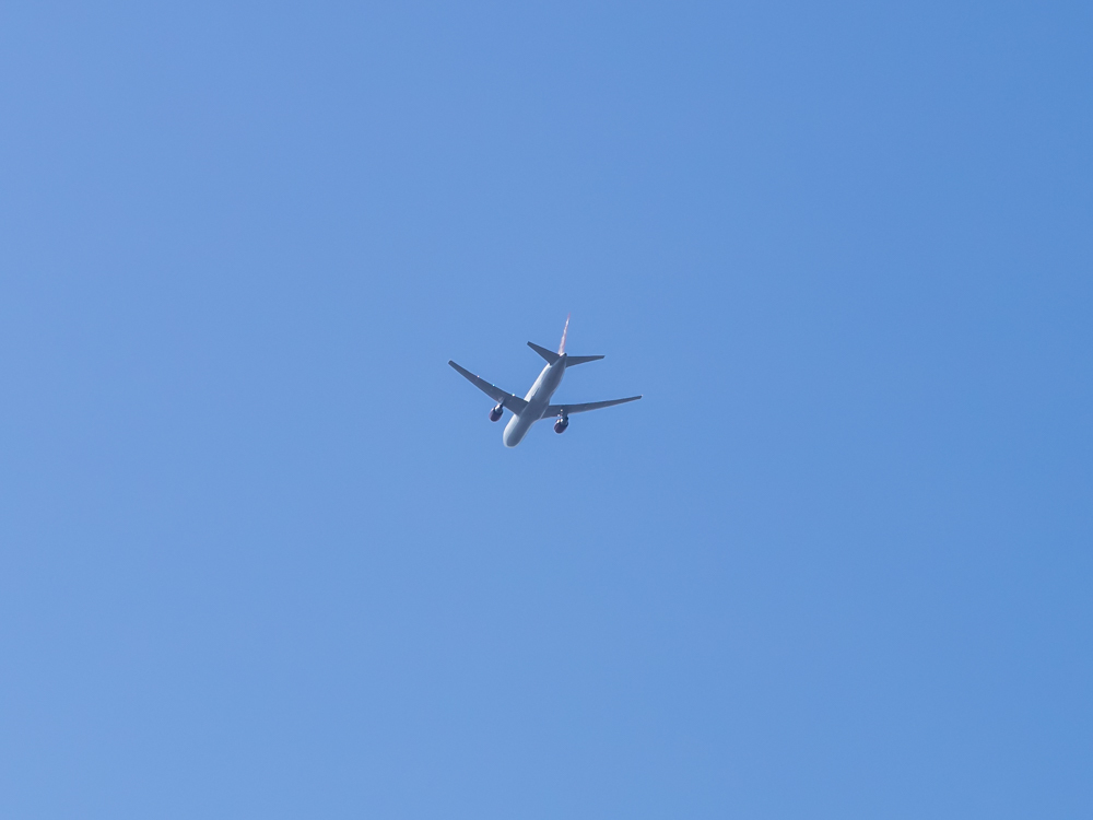 d0192516_20374603.jpg